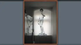 bedruckte Rollos: Foto-Rollo, Lamellen, Leinwand, Fußmatte, Vorhang, Plissee, Multirollo, Showmobil