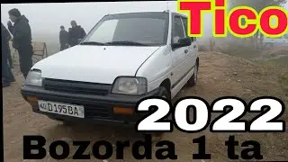 tico fargona bozor