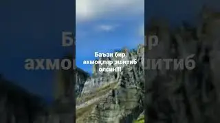 Баъзи бир ахмоқлар эшитиб олсин Устоз Нажмиддин домла