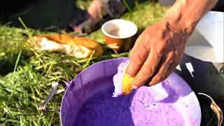 simple nomads life. milking reindeer. yogurt with wild berries