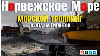 Морской Троллинг • Охота на Гигантов • Русская Рыбалка 4 • Норвежское Море