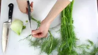 How To Prepare Fennel