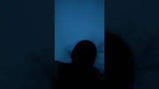 зелёный чебурек