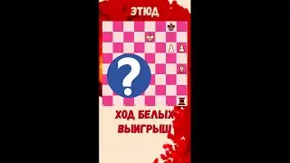 🦅 ЭТЮД от чемпиона Мира #chess #chesspuzzle #shortsvideo