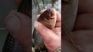 FROM BOAT TO WINTER FISHING ROD. Fishing from a boat with a fishing rod.