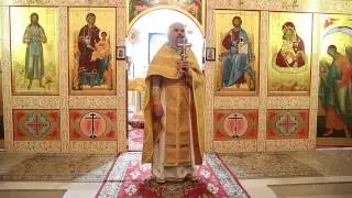 Проповедь протоиерея Иоанна Монаршека в Неделю 1 по Пятидесятнице, всех святых