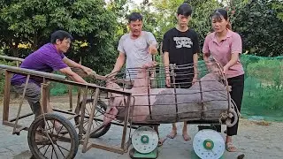 Catch pigs to sell to traders. Eliminate sows that do not reproduce well. ( Ep 289 )