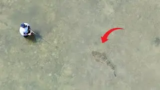 Fishing Shallows for Giants!
