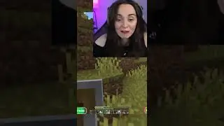 Terminator AI