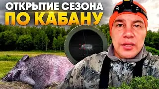 Открытие охоты на кабана | На кабана летом | Охота с тепловизором