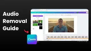 How to Remove Audio From Canva Video