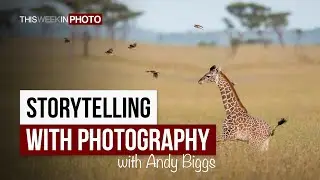 Telling Your Story in Pictures, with Andy Biggs