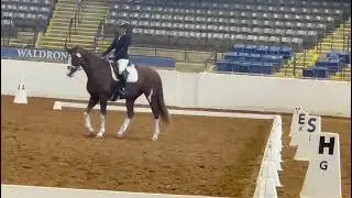 USDF Region 1 Finals 2021 - 2nd level freestyle