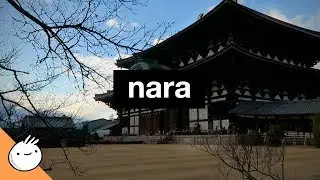 Nara Day Trip // Japan Vlog #5