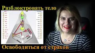 Стратегия и Авторитет.
 ДЧ 2019