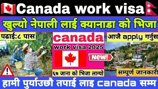 Canada Working Visa For Nepali 2025 || Canada Work Permit Visa For Nepali || Canada working visa