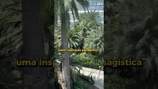 Conheça o parque Gardens By The Bay! 