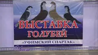 Выставка голубей. Уфа. 09.12.2017. ч.1 Уфимский спартак.