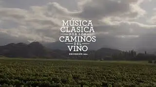 Música clásica por los caminos del vino. XXIII Edición 2024