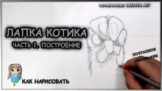 Как нарисовать ЛАПКУ котика карандашом. Часть 1. Построение