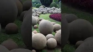 Откуда взялись эти шары? ⚫⚪