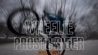 СТАНТ НА ВЕЛОСИПЕДЕ / WHEELIE BOY / СТАНТ