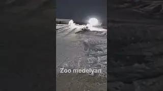 Полярные 