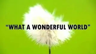 "What A Wonderful World" // Multifandom [1k subs]