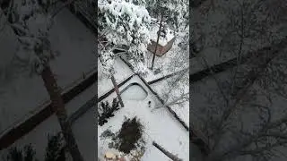 удаление наклонённой сосни