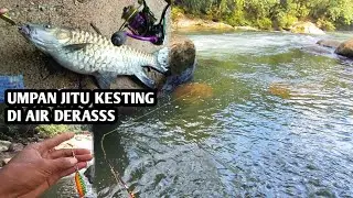 SUBHANALLAH BIKIN JANTUNGAN_KESTIG DI PEDALAMAN HUTAN.DI SERANG MONSTHER ARUS DERAS