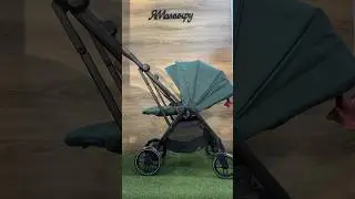 Прогулочная легкая коляска с реверсивным блоком Maxi-Cosi Leona 