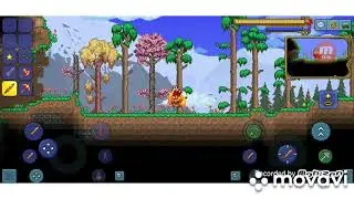 ТОП 3 САМЫХ СЕКРЕТНЫХ СИДОВ В Terraria! | мир пчел, пьяный мир и непонятно какой.