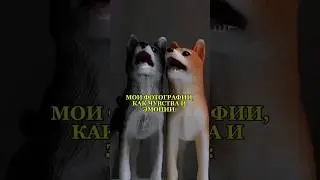 МОИ ФОТОГРАФИИ ФИГУРОК, КАК ЧУВСТВА И ЭМОЦИИ #schleich #фигурки #лошади #фигуркишляйх #шляйх #fyp