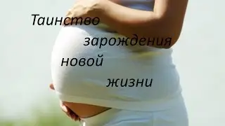 Таинство зарождения новой жизни - как появляются дети