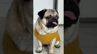 КАССИ РАЗОШЛАСЬ С ДЖОНИ 😭
