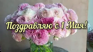 Поздравление с 1 Мая! Поздравляю с Днем Труда!