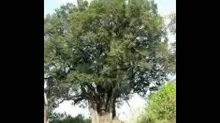 Худайбия сулхи 2..Абдуллох домла
