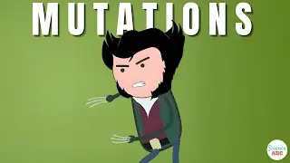 What are Mutations and what are the different types of Mutations?