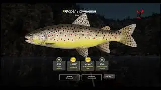 РР 4. Белая - сбирулино с приманкой