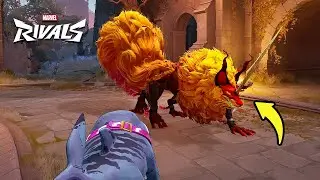 All Heroes Interactions to Ratatoskr - Marvel Rivals