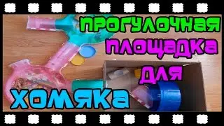 A pleasure Playground for your hamster. Gaming hamster