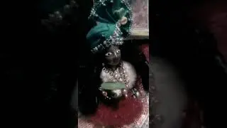 mei tou aayi vrindavan dhaam kishori tere charno me