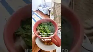 пришли ремонтники домой... 😱 