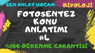 FOTOSENTEZ KONU ANLATIMI 4 // FOTOSENTEZ EVRELERİ// + PDF (açıklama kısmında)  ✅