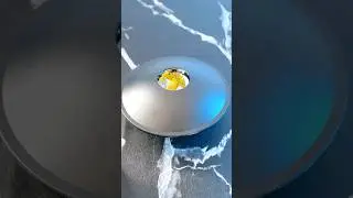 Where does the frog sit? 