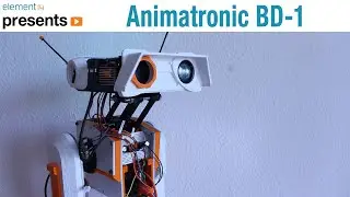 Raspberry Pi 4 Animatronic BD-1 Companion Robot 