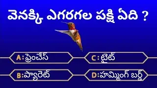 intresting questions in telugu / questions about birds in telugu / telugu quize program /#gkintelugu