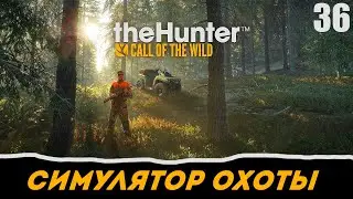 theHunter: Call of the Wild прохождение на русском. Часть 36 - Охота на дальних дистанциях