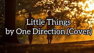 Little Things by One Direction (Cover)