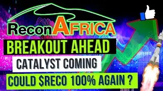 $RECAF Stock - $3.50 Penny Stock  - How high will Recon Africa Go? $RECAF Penny Stock